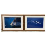 (2) Alex Maclean Framed Prints