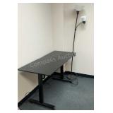 Lift Desk & Floor Lamp