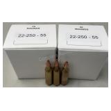 (40) Rnds Reloaded 55g 22-250