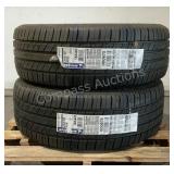 (2) Michelin 19' Tires