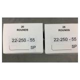 40 Rnds Reloaded 22-250 55g SP