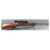 Ruger Air Hawk .177 Pellet