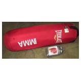 Punching Bag and Boxing Gloves-