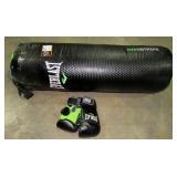 Punching Bag and Boxing Gloves-