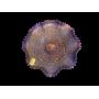 Glassware, Carnival Glass, Uranium Glass, Fenton, Imperial, and Much More!
