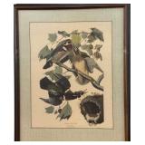 J.J. Audubon "Summer Wood Duck"