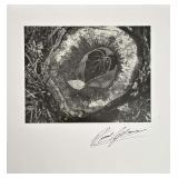 Ansel Adams (1902-1984) "Leaves, Frost, Stump,