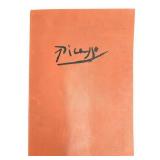 Pablo Picasso 15 Drawings Portfolio