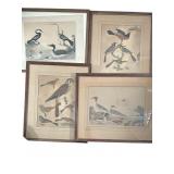 1808-1814 4pc Alexander Wilson Engravings