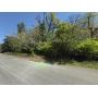 314 Spring St. Monteagle, TN - Vacant Building Lot