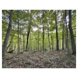 50.46 Acres - Tract 2