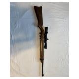 Ruger 10-22 Rifle