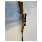 Ruger 10-22 rifle