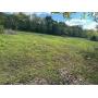 24 Acres Ward Hollow Rd. Brush Creek, TN