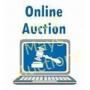 Welcome To The Auction - Please Read!