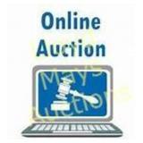 Welcome To The Auction - Please Read!