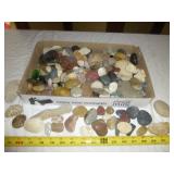 Rocks & Fossils - Big Box Lot