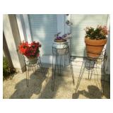 3pc Wrought Metal Plant Stands with Pots & Plants