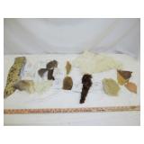 Taxidermy Samples - Tanned Coyote, Rabbit, Etc