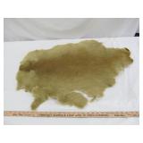 Taxidermy Animal Hide Mammal Skin