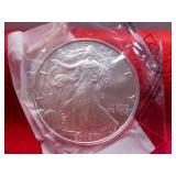 2004 US Silver American Eagle 1oz .999 Fine Silver