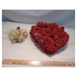 Red Pipe Coral & White Coral Large Specimens