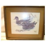 Larry Hayden American Widgeon Signed Duck Print