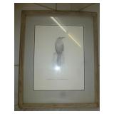 Charles Beckendorf Curve Bill Thrasher Signed Art