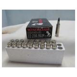Winchester 22-250 Ballistic Silvertip 55gr Ammo