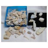 Raw Opals - Lapidary Common Opal Fragments