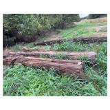 Large Wood Poles for Milling