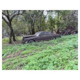 Classic Car Project: Chevrolet Caprice Classic