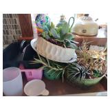 Succulent plants in pots; plastic storage totes