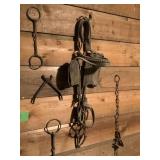 Assorted Equine Tack - Bridle, Bits and Restraints