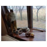 Native American Decor