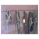 Lot of Assorted Equine Tack