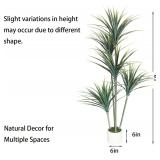 Dracaena Artificial Plant (Dragon Tree) - 5FT Arti