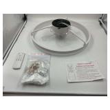 Fszdorj 20  Ceiling Fan with Light, Upgraded Low P