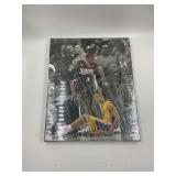16 x 20 Lakers picture