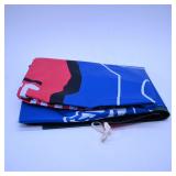 Ohio State House Divided Flag