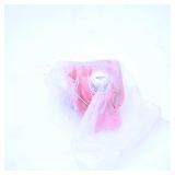 Red Toy Car in Plastic Wrap