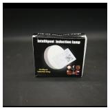 LED Intelligent Induction Night Light