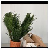 Artificial Plotted Plant with String lights