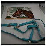 'Sterling' Horse Halter ï¿½ Teal, 2012 'This Time...