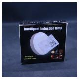 Intelligent induction lamp LED intelligent...