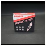 Painate Spark Plugs (box)