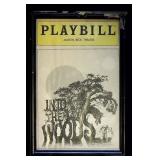 Playbill ï¿½ Into the Woods (Martin Beck Theatre)