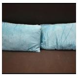 Pair of Turquoise Plush Throw Pillows (2)