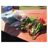 TOTE FULL HOLIDAY FLOWERS ; DECOR