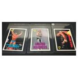 Three 1990 WWF Wrestling Trading Cards